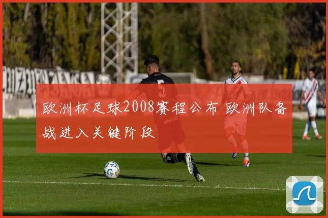 欧洲杯足球2008赛程公布 欧洲队备战进入关键阶段