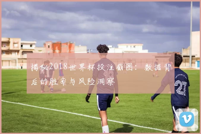 揭秘2018世界杯投注截图:数据背后的胜率与风险洞察