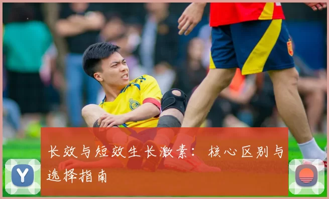 长效与短效生长激素:核心区别与选择指南