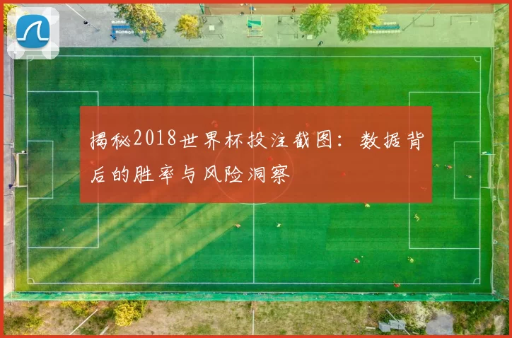 揭秘2018世界杯投注截图:数据背后的胜率与风险洞察