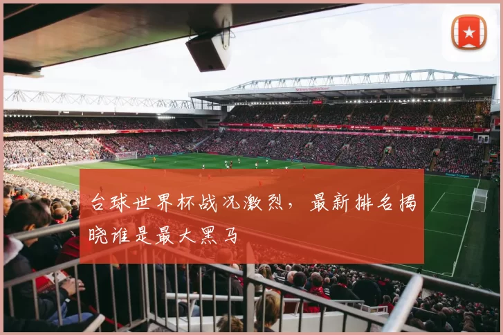 台球世界杯战况激烈,最新排名揭晓谁是最大黑马
