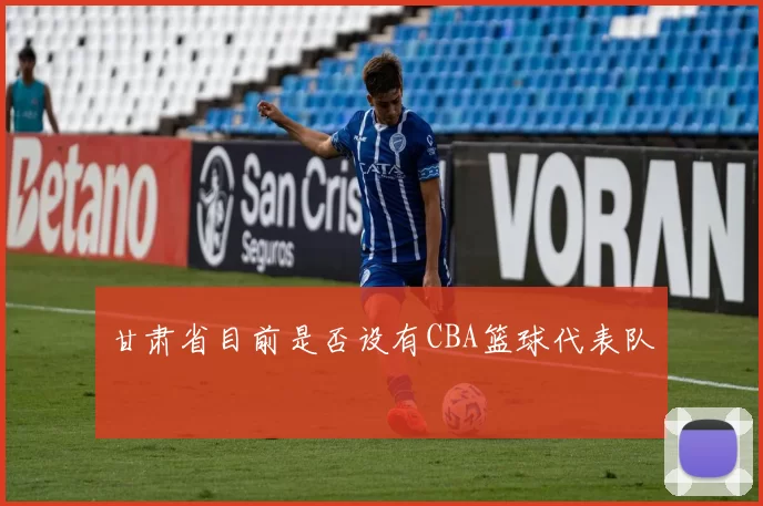 甘肃省目前是否设有CBA篮球代表队