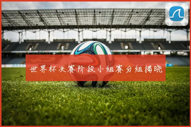 世界杯决赛阶段小组赛分组揭晓