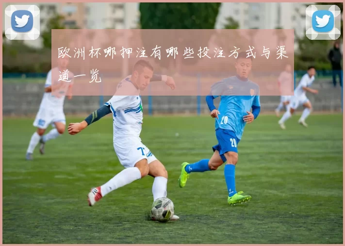欧洲杯哪押注有哪些投注方式与渠道一览