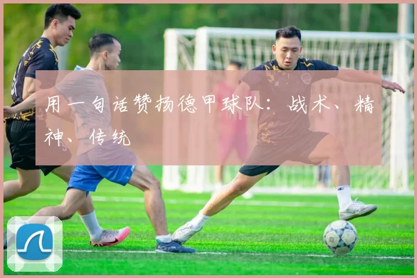用一句话赞扬德甲球队:战术、精神、传统