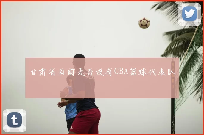 甘肃省目前是否设有CBA篮球代表队