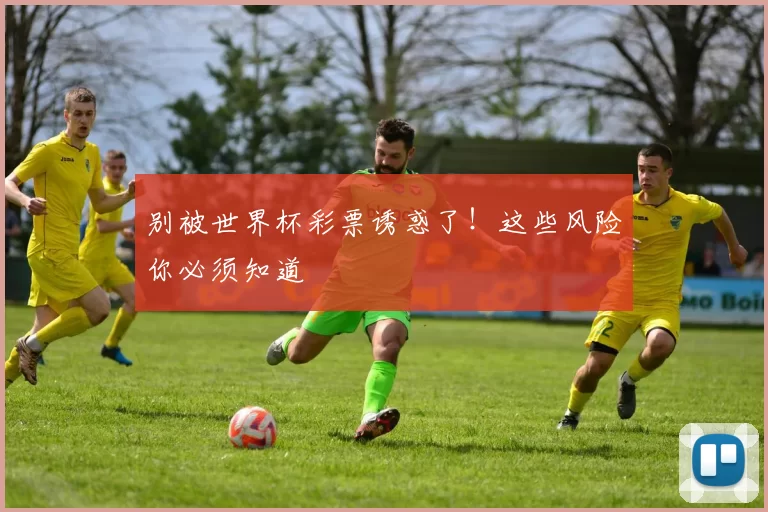 别被世界杯彩票诱惑了!这些风险你必须知道