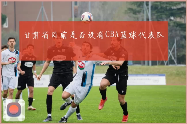 甘肃省目前是否设有CBA篮球代表队