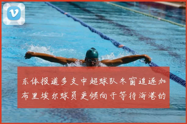 东体报道多支中超球队冬窗追逐加布里埃尔球员更倾向于等待海港的机会