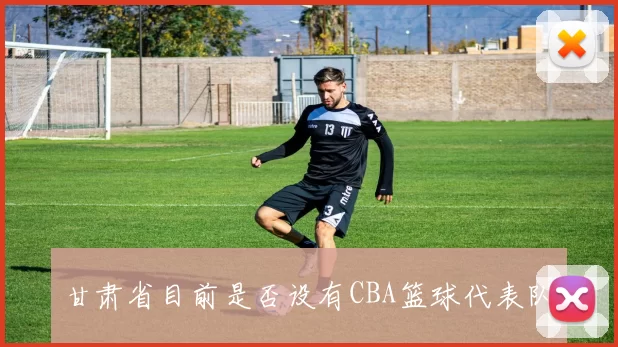 甘肃省目前是否设有CBA篮球代表队