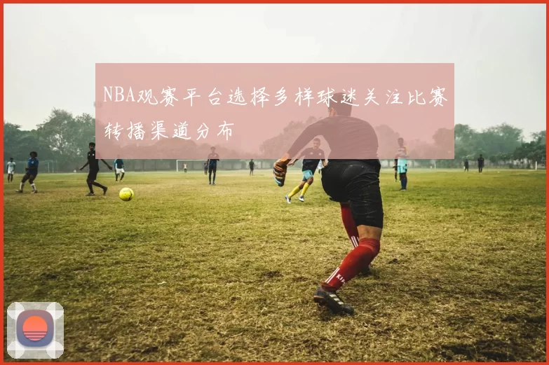 NBA观赛平台选择多样球迷关注比赛转播渠道分布