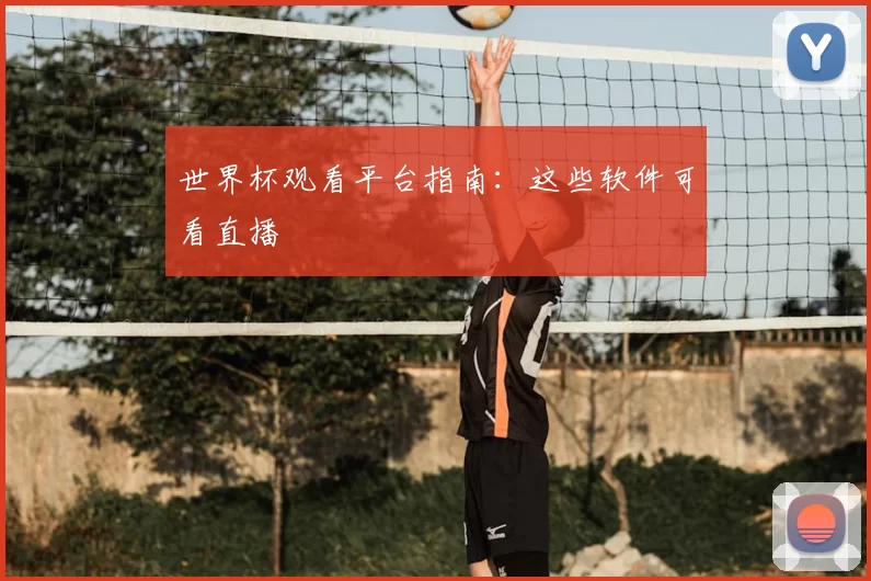 世界杯观看平台指南：这些软件可看直播
