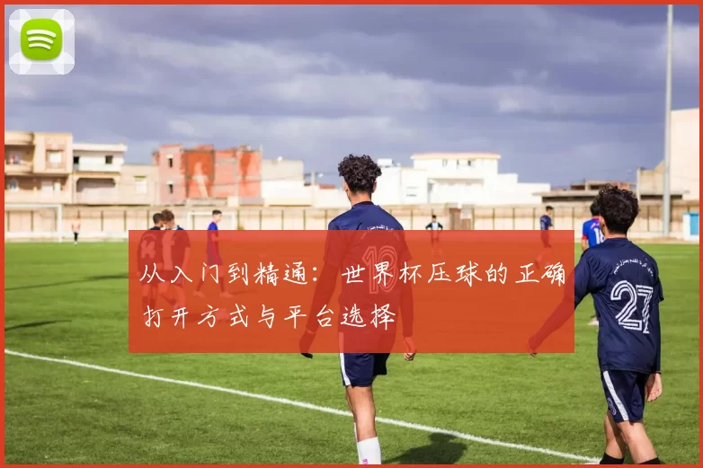 从入门到精通:世界杯压球的正确打开方式与平台选择