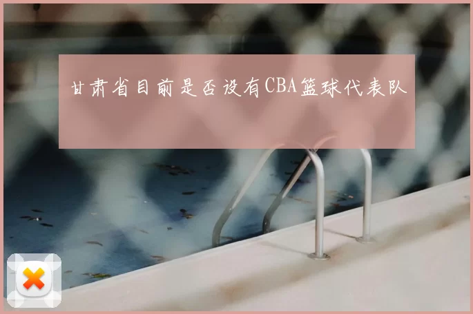 甘肃省目前是否设有CBA篮球代表队