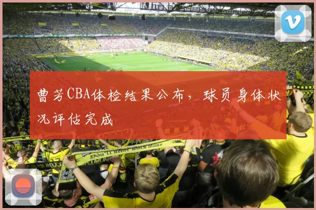 曹芳CBA体检结果公布,球员身体状况评估完成
