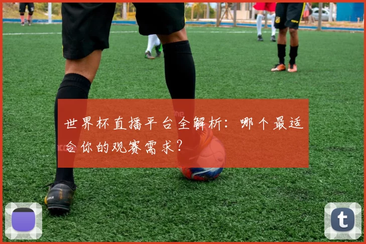 世界杯直播平台全解析:哪个最适合你的观赛需求?
