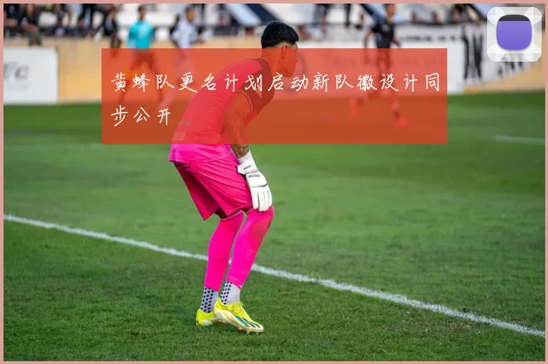 黄蜂队更名计划启动新队徽设计同步公开