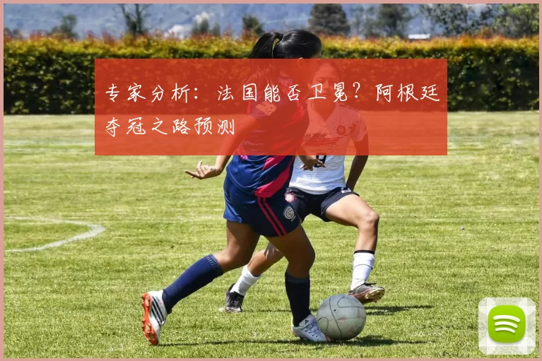 专家分析：法国能否卫冕？阿根廷夺冠之路预测