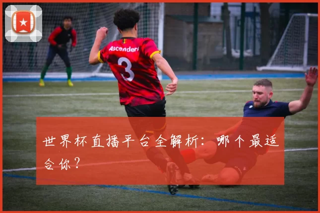 世界杯直播平台全解析:哪个最适合你?