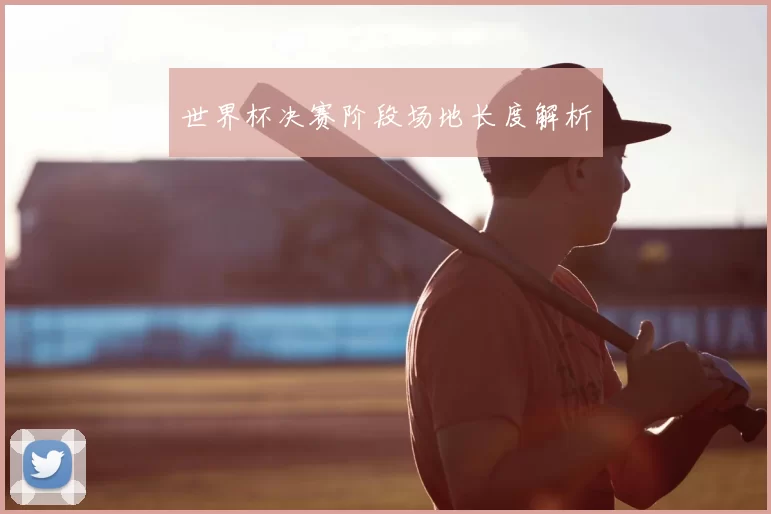 世界杯决赛阶段场地长度解析