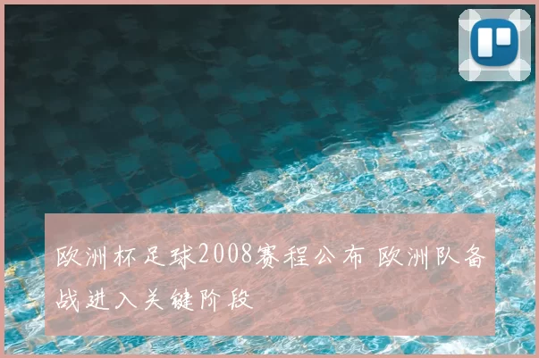 欧洲杯足球2008赛程公布 欧洲队备战进入关键阶段
