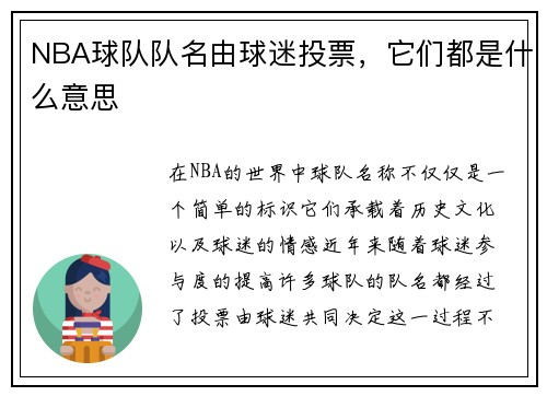 NBA球队队名由球迷投票，它们都是什么意思