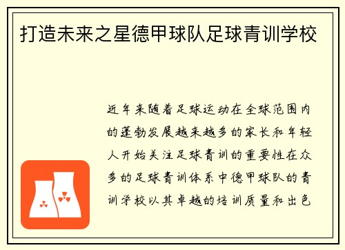 打造未来之星德甲球队足球青训学校